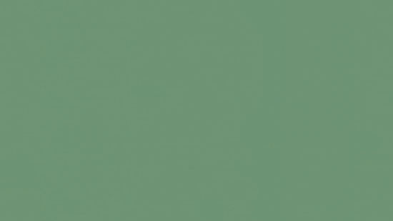 Feuille de linoléum LinoFloor xf² Etrusco #056 Basil 6-9/16' - 2.5 mm (vendu en vg²)