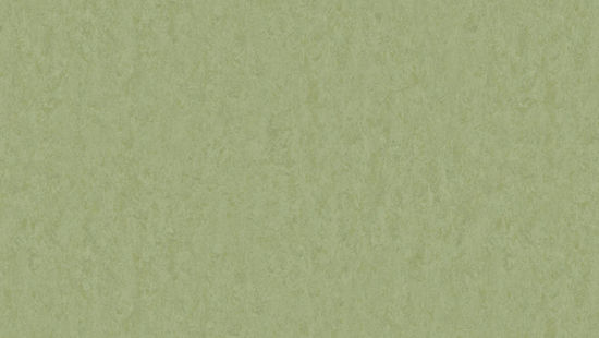 Feuille de linoléum LinoFloor xf² Style Emme #753 Pear 6-9/16' - 2.5 mm (vendu en vg²)