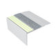 Ecoglo F4-E20 Photoluminescent Flat Stair Nosing with Grey Anti-Slip Strip 2.7" (Sold in Linear Feet)
