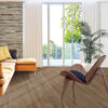 Beaulieu (OMP01-U0084) room_scene