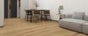 Fuzion (VSE9178) room_scene