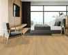 Fuzion (DEMOAK165HH) room_scene