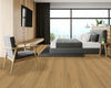 Fuzion (DEMOAK165QQ) room_scene