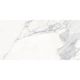 Floor Tiles Calacatta Infinity Matte 12" x 24"