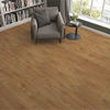 Mono Serra (90907) room_scene