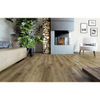 Mono Serra (55959) room_scene