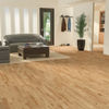 Mono Serra (MC-310) room_scene