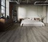 Taiga (FVPPLLP3IO) room_scene
