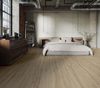 Taiga (FVPPLLP3THA) room_scene