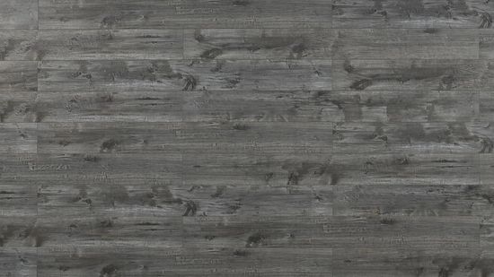 Laminate Flooring TF80 Series #8007 7-11/16" x 72-1/16"
