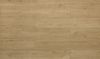 Toucan (R-TF6307) color