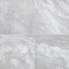 MSI Surfaces (LPAVNARGTRA2424) product