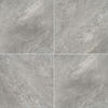 MSI Surfaces (LPAVNQUAGRA2424) product