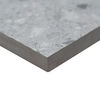 MSI Surfaces (LPAVNTERGRI2424) close_view