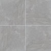 MSI Surfaces (LPAVNVULGRE2424) floor