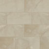 MSI Surfaces (NSANCRE1224) product