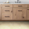 MSI Surfaces (NSANCRE1224) room_scene