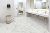 MSI Surfaces (VTRCALVEGO12X24-5MM-12MIL) room_scene