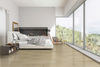 MSI Surfaces (VTWCORASH6.5X48-7MM) room_scene