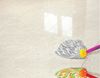 Dyna (8010-1) room_scene