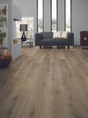 Planchers 1867 (54373126) room_scene