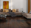 Planchers 1867 (5568320) room_scene