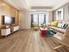 Planchers 1867 (5780804) room_scene