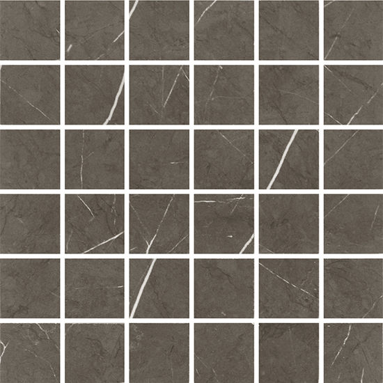 Floor Tiles Pietro Charcoal Matte 12" x 12"