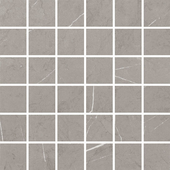 Floor Tiles Pietro Silver Matte 12" x 12"