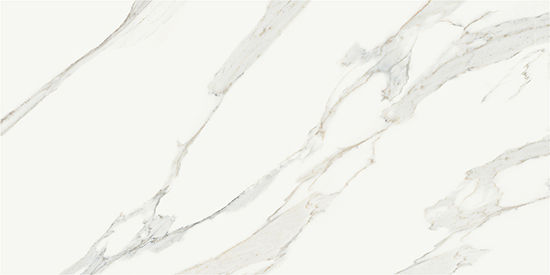 Floor Tiles Jewels Calacatta Reale Polished 24" x 48"