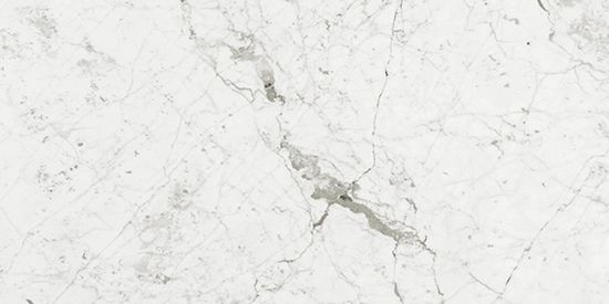 Floor Tiles I Marmi Carrara Matte 12" x 24"