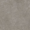 Centura (RR1224) product