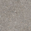 Centura (RR1524) product