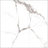 Centura (STAT24P) product
