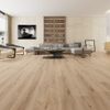 Planchers 1867 (5790145) room_scene