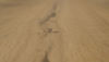 Grandeur Flooring (MORAINE) close_view