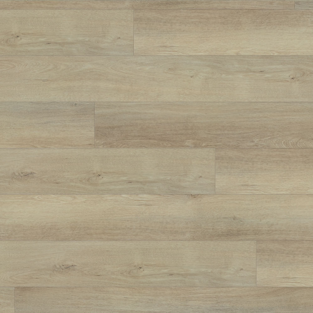 f0b7c8fe-f529-11ed-a6c2-