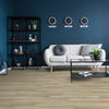Beaulieu (TIDAL2282) room_scene