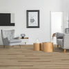 Beaulieu (TIDAL2284) room_scene