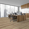 Beaulieu (TIDAL2284) room_scene