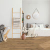 Beaulieu (REGALE4117) room_scene