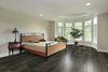 Toucan (TF6211-F) room_scene