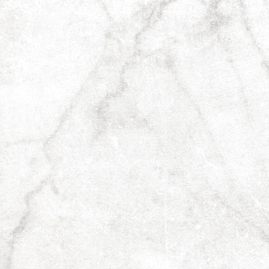 Floor Tiles Antica Carrara White Natural 24" x 24"