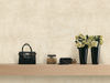 Centura (POBL13) room_scene