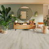 Biyork (BYKRCHY50SP-2) room_scene