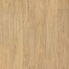 Planchers 1867 (5461404515) color