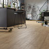 Planchers 1867 (546140421) room_scene