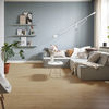Planchers 1867 (546140451) room_scene