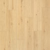 Planchers 1867 (546180631) product