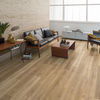 Planchers 1867 (54482822) room_scene